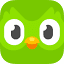 duolingo.com