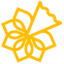 Irish Cancer Society