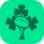 Irish Rugby